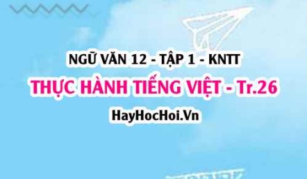 Soạn bài Thực hành Tiếng Việt trang 26 Ngữ văn 12 Kết nối tri thức